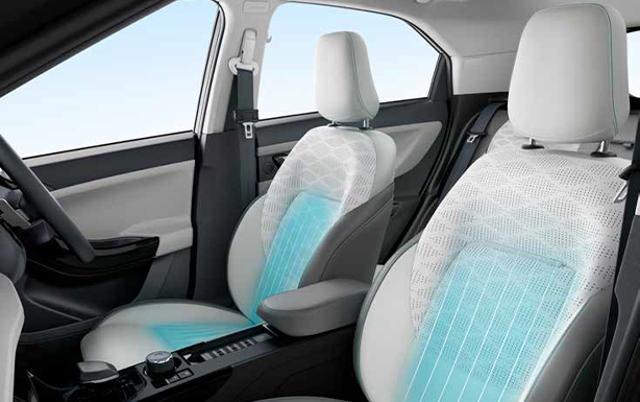 Nexon EV EV - Features