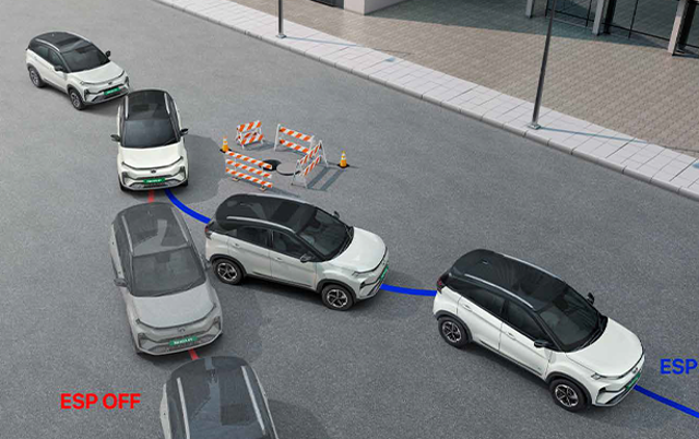 Nexon EV EV - Features